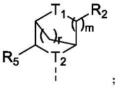 Figure PCTCN2022074782-appb-000051