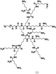 Figure BDA0002494201700000031