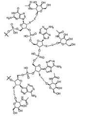 Figure 2023509872000011