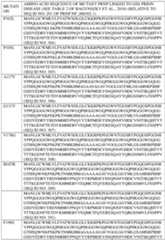 Figure imgf000581_0001