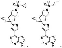 Figure FDA0002319666800000051