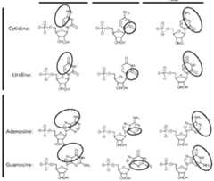 Figure imgf000176_0001