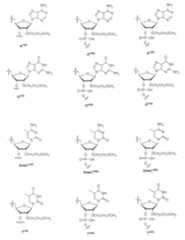 Figure JPOXMLDOC01-appb-C000048