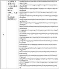 Figure BDA0003676072500000301