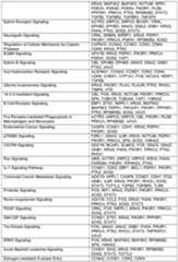 Figure imgf000086_0001