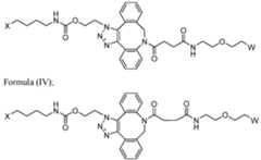 Figure imgf000305_0001