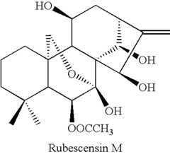 Figure US07351739-20080401-C00020