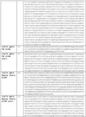 Figure imgf000075_0001