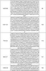 Figure imgf000171_0001