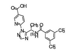 Figure 109139846-A0202-12-0188-38