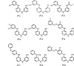 Figure BPA00001476434900641