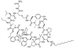 Figure imgf000004_0001