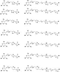 Figure PCTCN2022073822-appb-000010