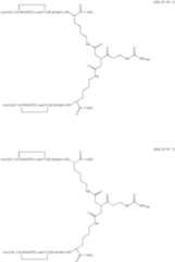 Figure US07906485-20110315-C00027