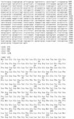 Figure IDA00002091897102581