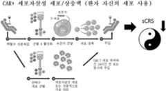 Figure P1020187026775