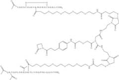 Figure US08293714-20121023-C00210