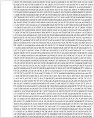 Figure imgf000176_0001