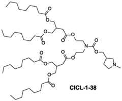Figure imgf000045_0001