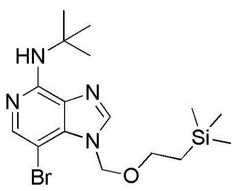 Figure BDA0001402557760001961