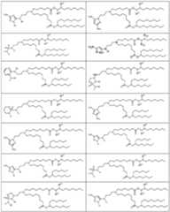 Figure imgf000245_0001