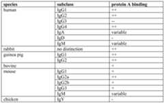 Figure imgf000003_0001