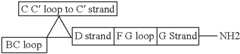 Figure US08907053-20141209-C00019