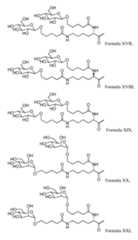 Figure imgf000078_0001