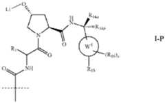 Figure imgf000248_0001