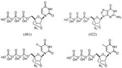 Figure imgf000071_0001