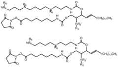 Figure imgf000072_0001