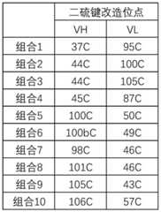 Figure BDA0002952312630000271