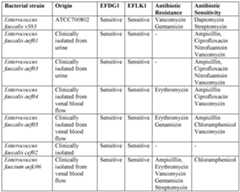 Figure imgf000029_0001