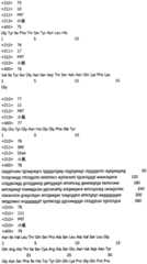 Figure ISA0000187956010000211