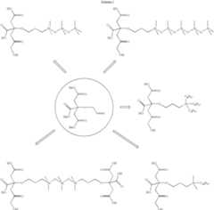 Figure US08168741-20120501-C00012