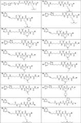 Figure PCTCN2022073822-appb-000342