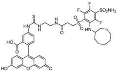 Figure imgf000089_0001