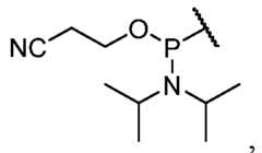 Figure imgf000043_0003