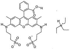 Figure imgf000034_0001