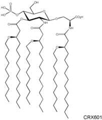 Figure imgf000056_0001