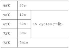 Figure BDA0001386112120000242