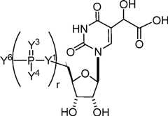 Figure AU2019202835A1_D0105