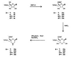 Figure 0007417529000050