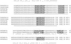 Figure BDA0004113341620000501