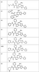 Figure FDA0003465902320000171