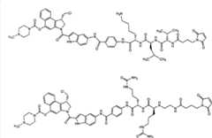 Figure G2007800504656D01351