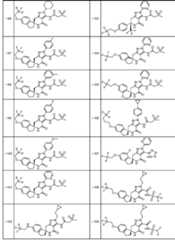 Figure JPOXMLDOC01-appb-T000094