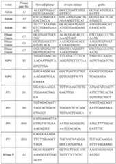 Figure imgf000018_0001