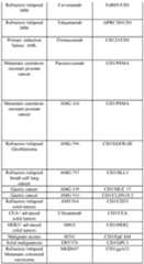 Figure imgf000189_0001