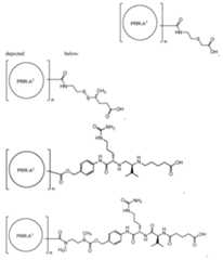 Figure imgf000116_0001